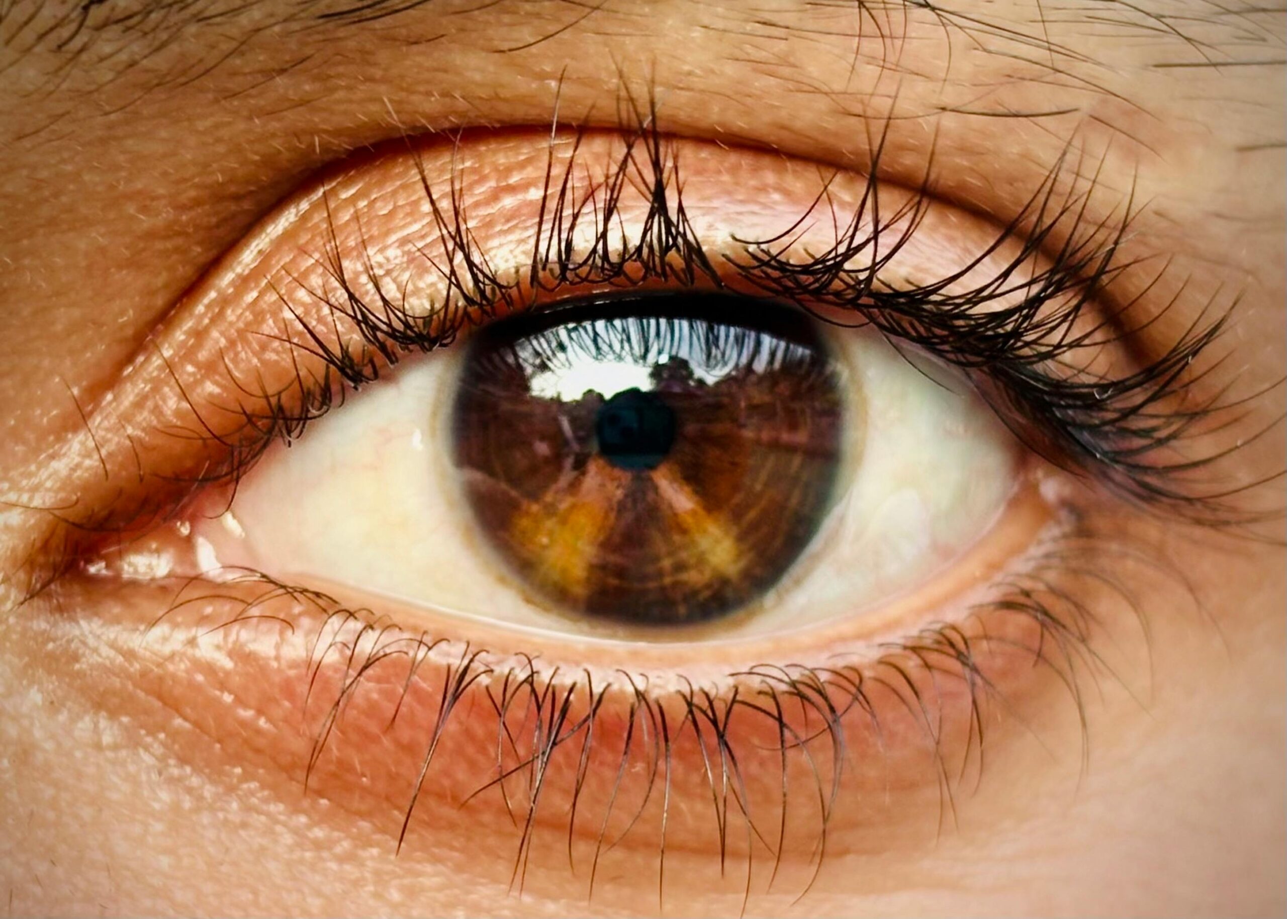 Detailed macro shot of a brown human eye showcasing vivid eyelashes and reflections.